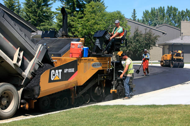 Best Professional Driveway Pavers  in Tucson Mountains, AZ